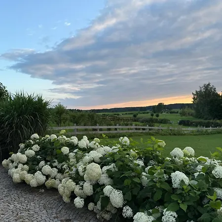 酒店 Posiadlosc Wiejska I Ogrody Acqua Di Rosa 5*