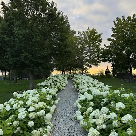 Posiadlosc Wiejska I Ogrody Acqua Di Rosa 酒店 Zameczek